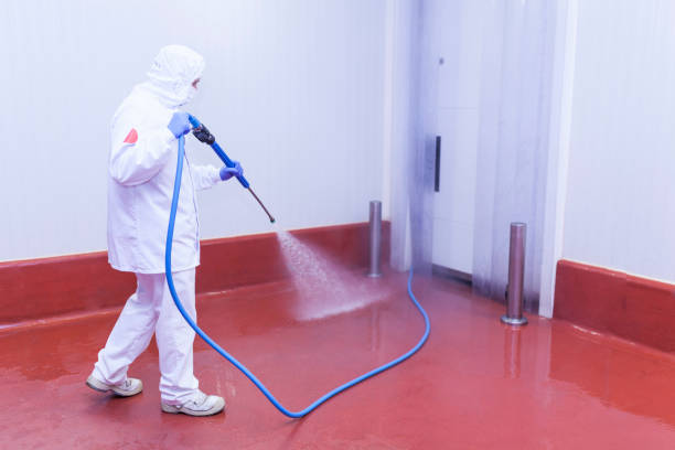 Best Gutter Cleaning  in Mira Monte, CA