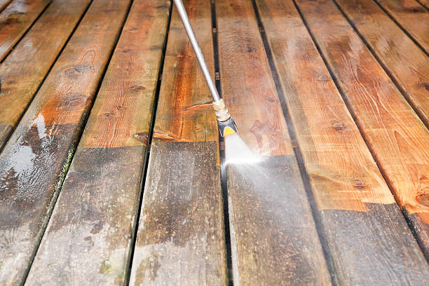 Animal Enclosure Cleaning in Mira Monte, CA